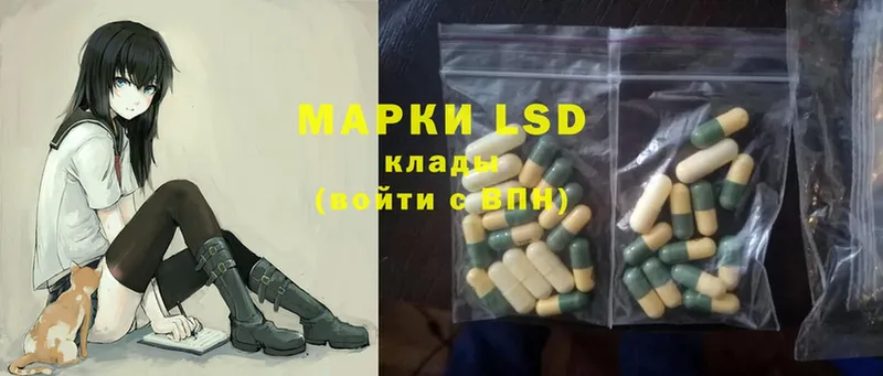 сайты даркнета какой сайт  гидра вход  Богородск  LSD-25 экстази кислота 